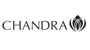chandra alt logo black