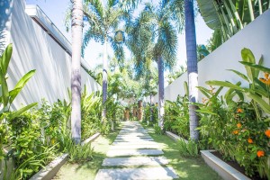 chandra bali villas influencer megan scraper 19