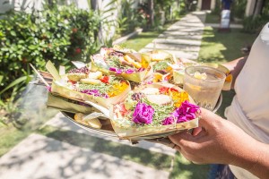 chandra bali villas influencer megan scraper 37
