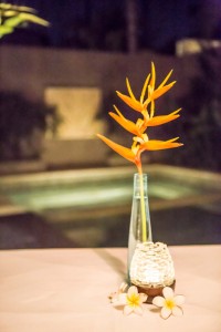 chandra bali villas influencer megan scraper 40
