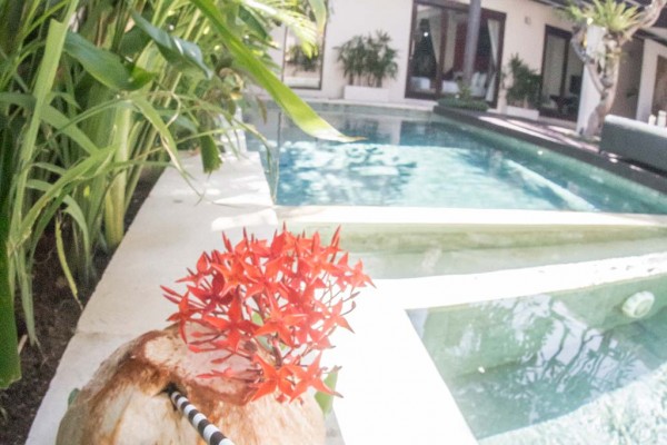 chandra bali villas influencer megan scraper 6