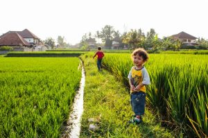 bali rice paddy walk kids