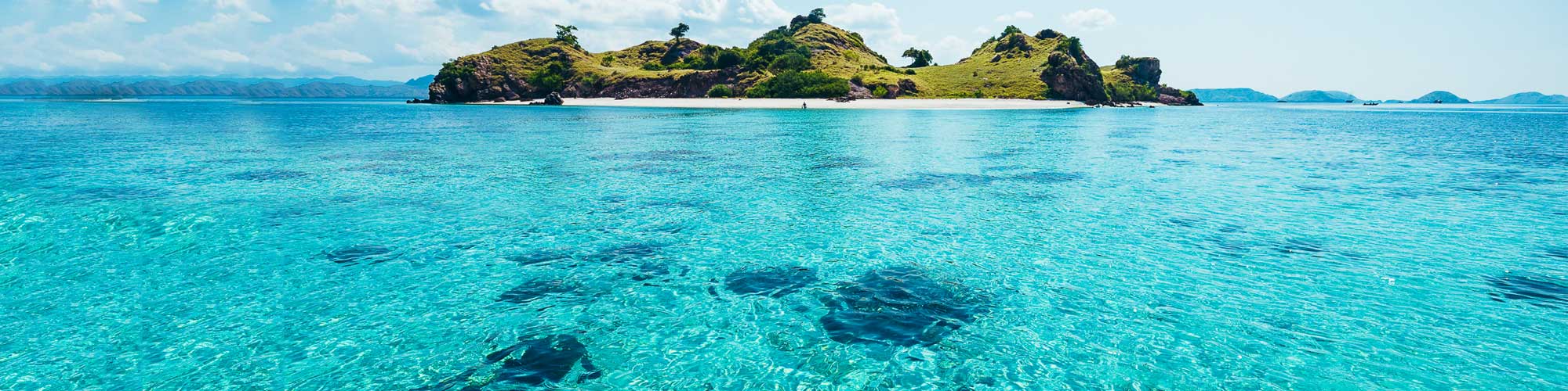 Your Dream Adventure is Waiting – Experience Bali & Komodo Islands with Chandra