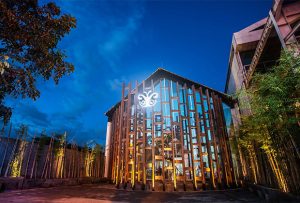 Cocoon Medical Spa Bali