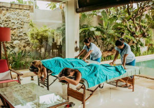 chandra bali villas weekender 12