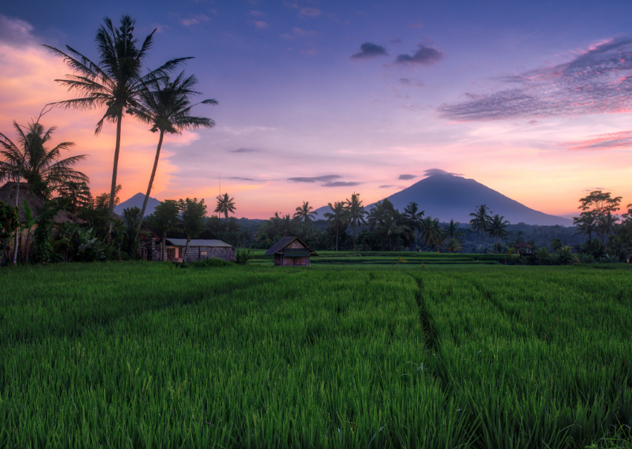 Hiking in Bali