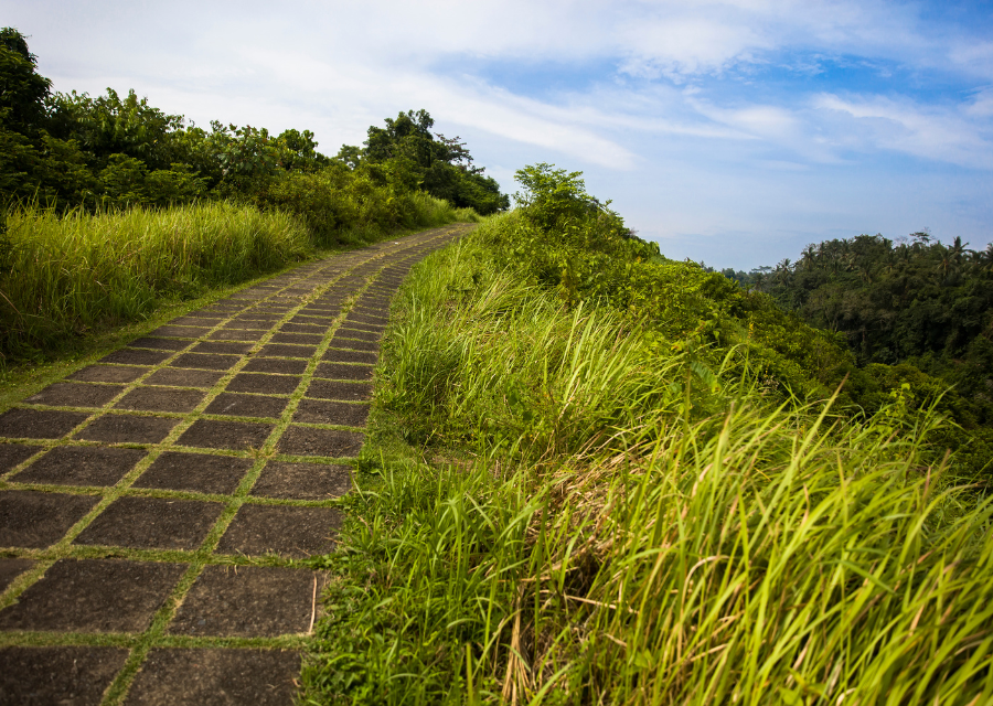 Champuhan Ridge Walk Ubud