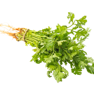 Coriander (1 hold)